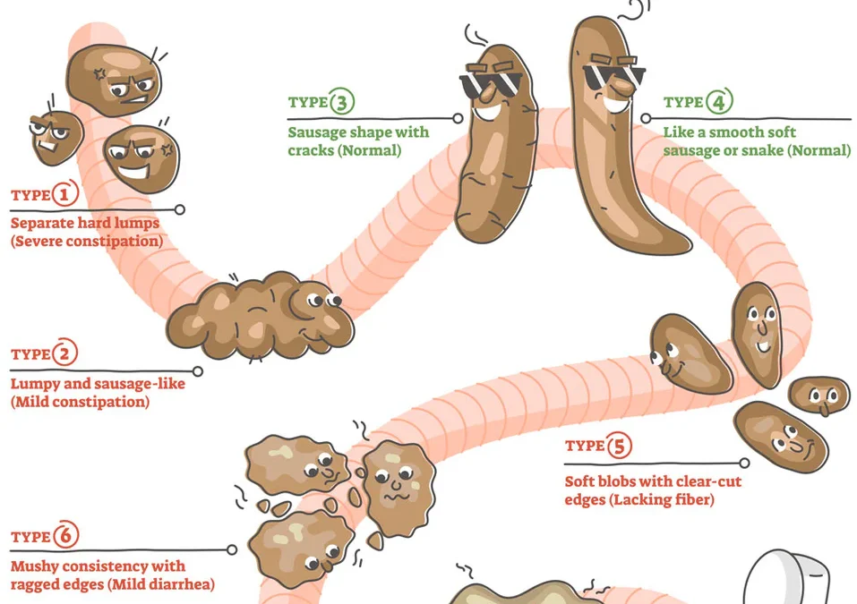 Your daily report card: An Excuse to Talk Crap