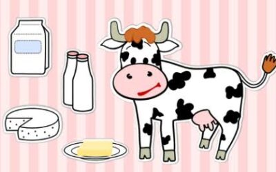 Holy Cow: Why lactose Intolerance isn’t a Milk Allergy            